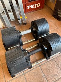 Manubri Regolabili Kingsgym Pro 4-34Kg (coppia)