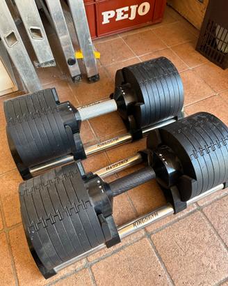Manubri Regolabili Kingsgym Pro 4-34Kg (coppia)