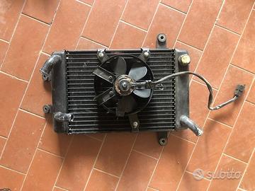 Radiatore Burgman 250 400