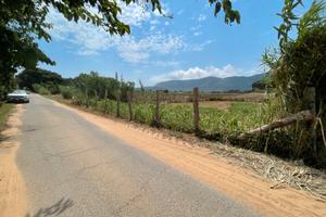 Circeo terreno fronte strada recintato