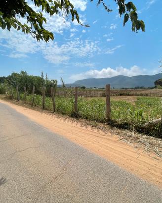 Circeo terreno fronte strada recintato