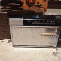 Sharp radiolina portatile con custodia 