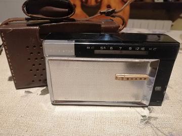 Sharp radiolina portatile con custodia 
