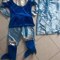 vestito carnevale PRINCIPE AZZURRO 7/9 ANNI