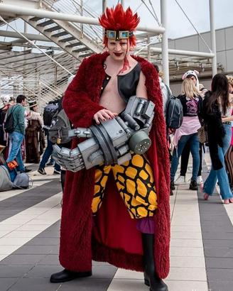 cosplay one piece