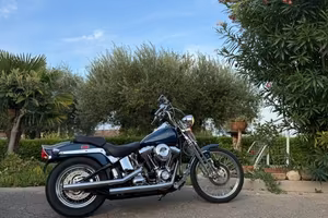 Harley-davidson 1450 Softail Springer 2000 soli 14