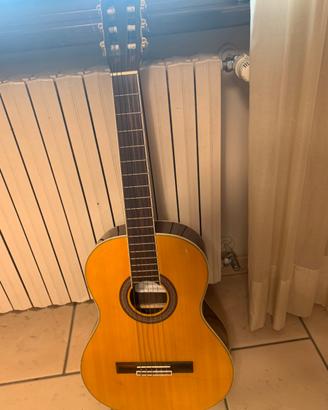 Chitarra Stealton