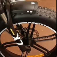 Bicicletta pedalata assistita omologata 250 w