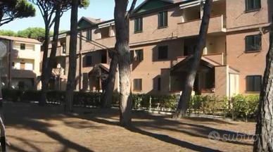 Casa in pineta, ombrellone gratis a Marina GR