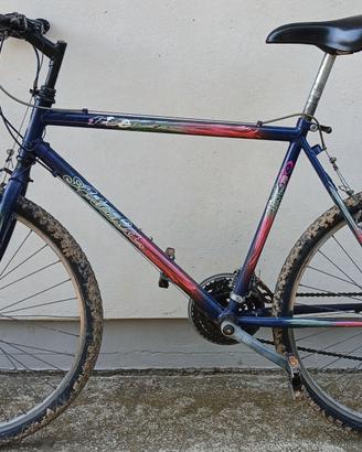 Bicicletta Mountain-bike Atala da uomo