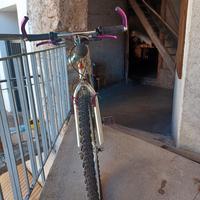 mountain bike