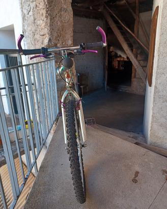 mountain bike