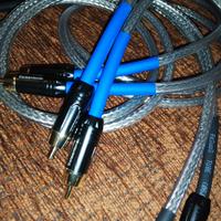 cavo Sommer cable Corona