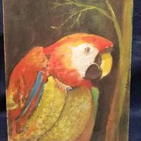 Il Pappagallo