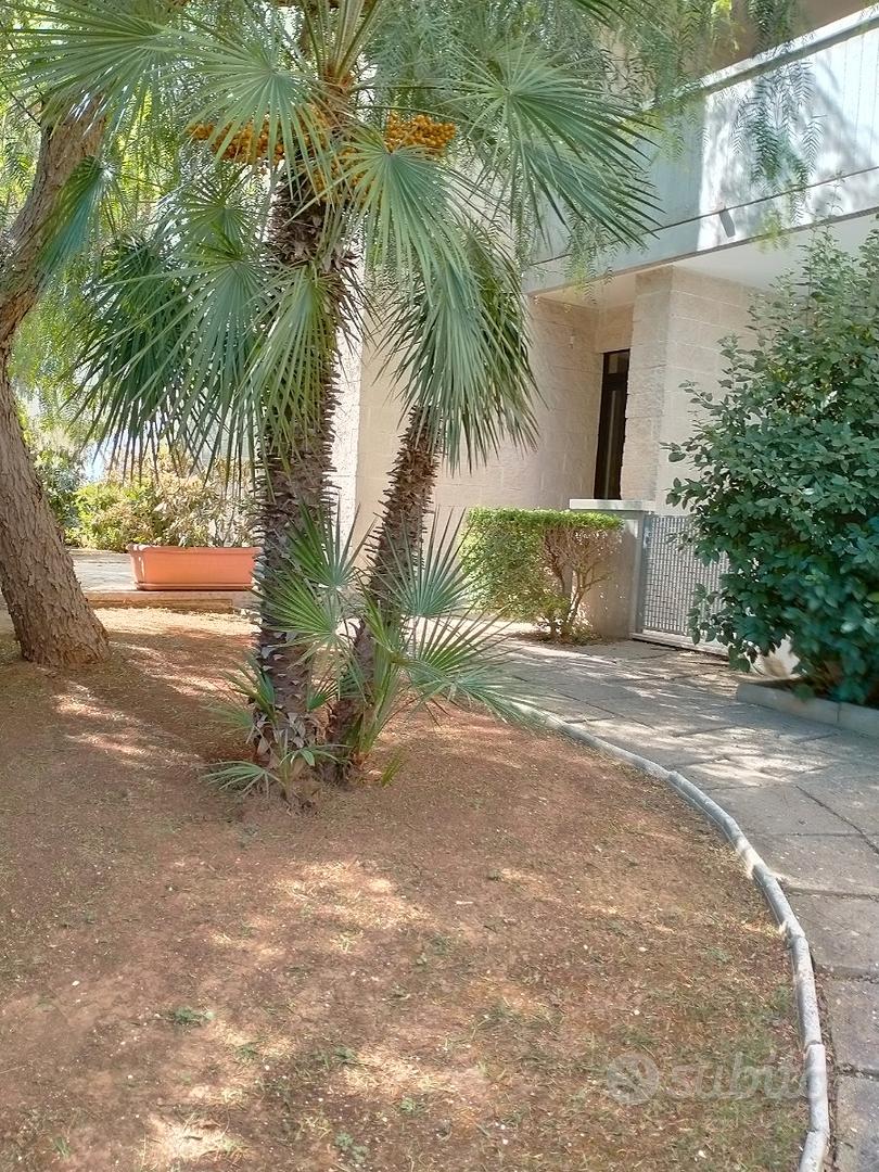 Appartamento – Francavilla Fontana, Brindisi - Vista 2