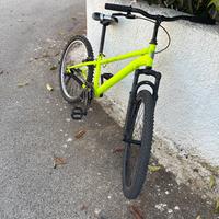 virus bici