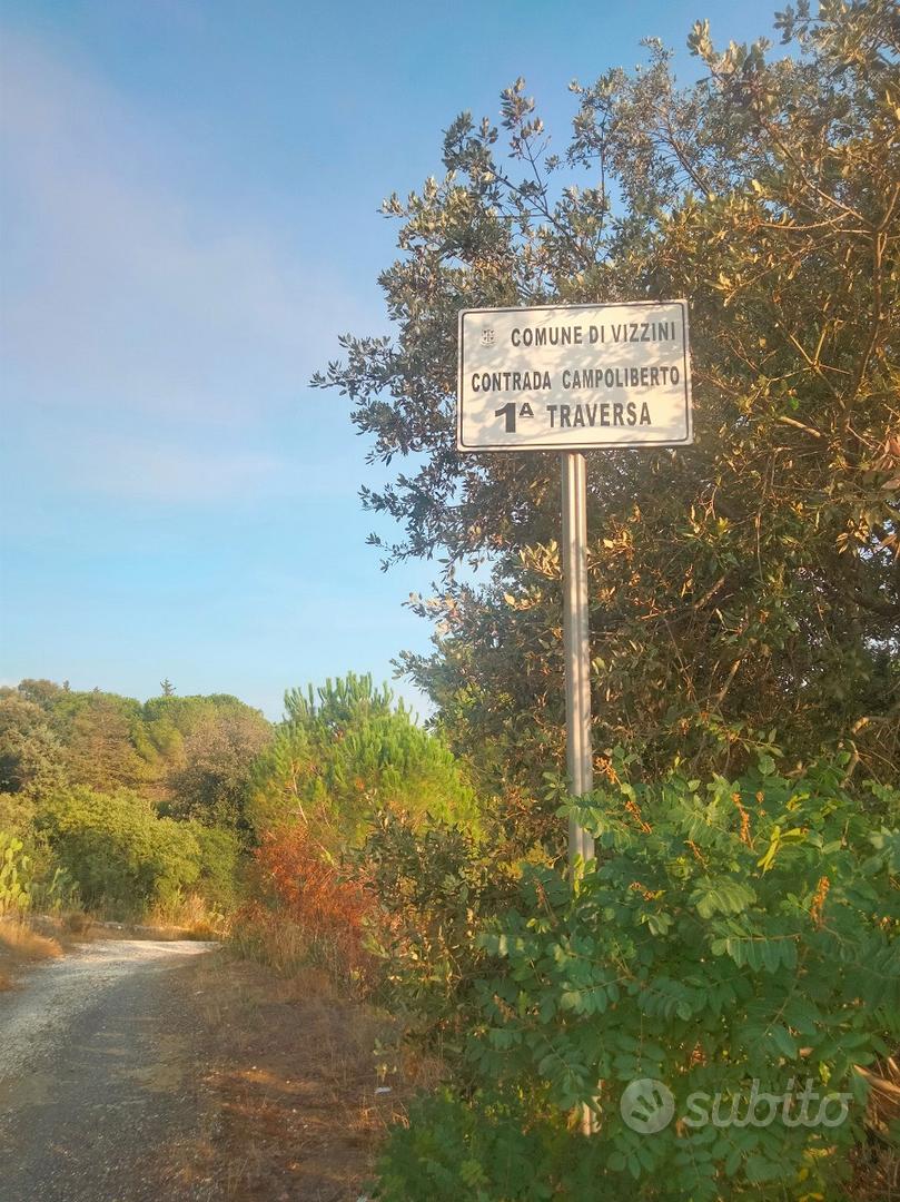 Terreno con piante di olivo e casa rurale - Altro