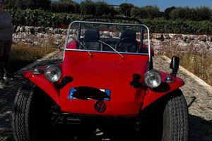 Volkswagen Puma Italia Dune Gatto Spyder