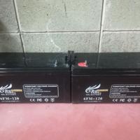 Coppia di batterie al GEL 12V-120A