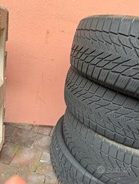 Gomme invernali renegade