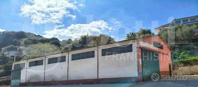 Capannone Industriale Maida [Cod. rif 3308182VCG]