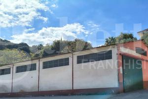 Capannone Industriale Maida [Cod. rif 3308182VCG]