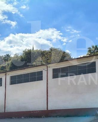 Capannone Industriale Maida [Cod. rif 3308182VCG]