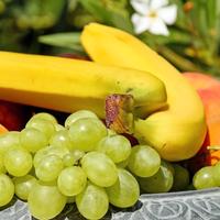 Negozio di frutta e verdura 201-109 A