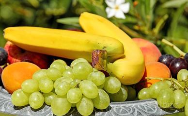 Negozio di frutta e verdura 201-109 A