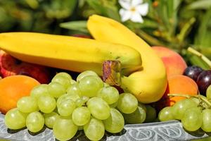 Negozio di frutta e verdura 201-109 A