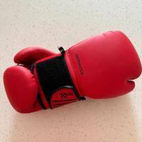 Guantoni boxe