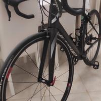 bici da corsa Olympia Ikon 2017 carbon TRATTABILE