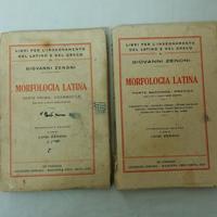 Morfologia Latina