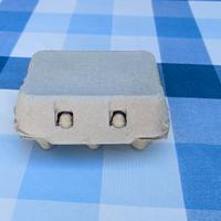 CONTENITORI UOVA IN CARTONE A €0,10 CIASCUNO! 
