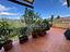 Immagine 11