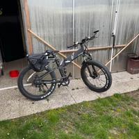 Bici elettrica