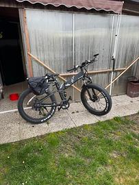 Bici elettrica