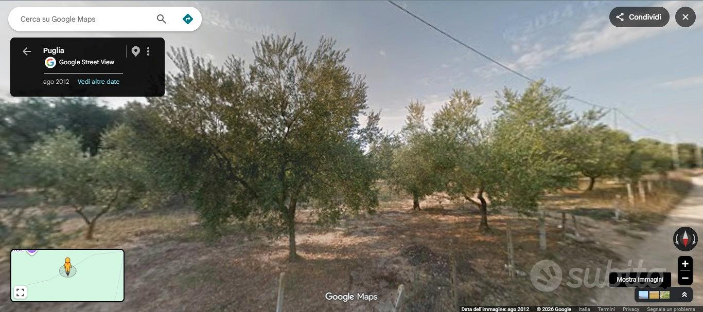 Terreno edificabile zona vergine mesagne - Vista 5