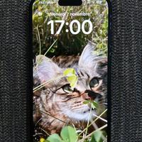 I phone 15 nero 256 gb