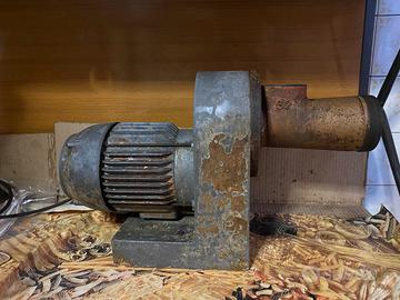 Tritacarne elettrico professionale