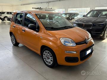 FIAT Panda Hybrid 1.0 FireFly 70 cv Neopatentati