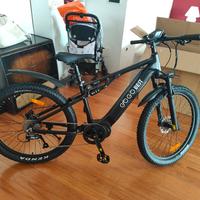 E Fat Bike 100 Nm