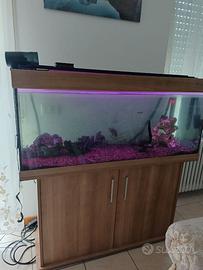 acquario completo da 250 litri