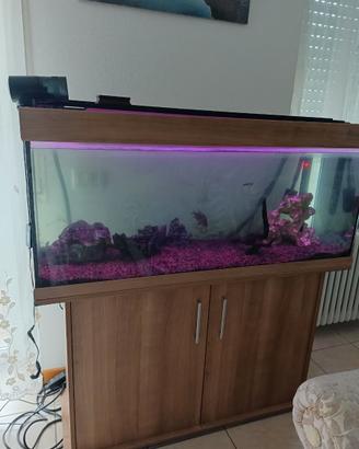 acquario completo da 250 litri