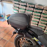 Harley davdson tour- pak