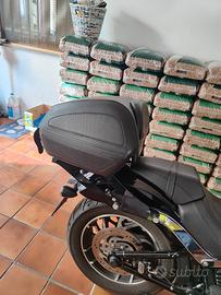 Harley davdson tour- pak