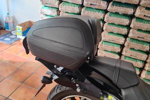 Harley davdson tour- pak