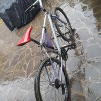 MTB ruota 26"