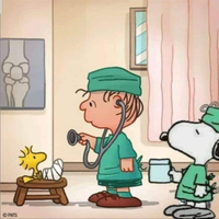 Studentessa Babysitter Casalbertone