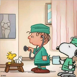 Studentessa Babysitter Casalbertone